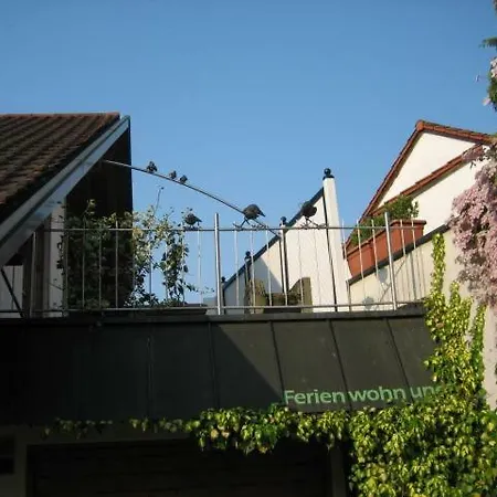Appartement Am Bodensee - Ferienwohnung