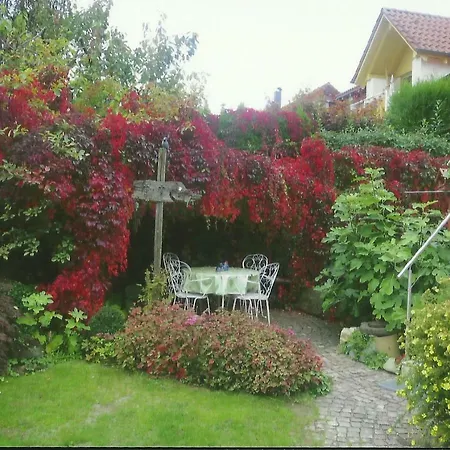 Appartement Am Bodensee - Ferienwohnung Friedrichshafen