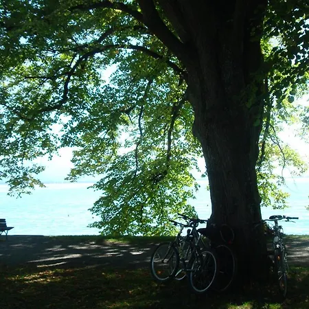 Am Bodensee - Ferienwohnung * Friedrichshafen
